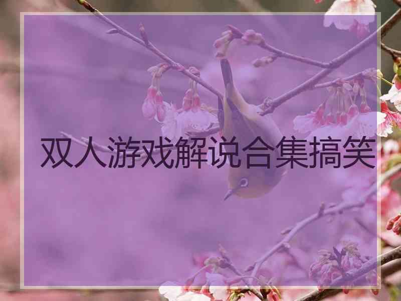 双人游戏解说合集搞笑