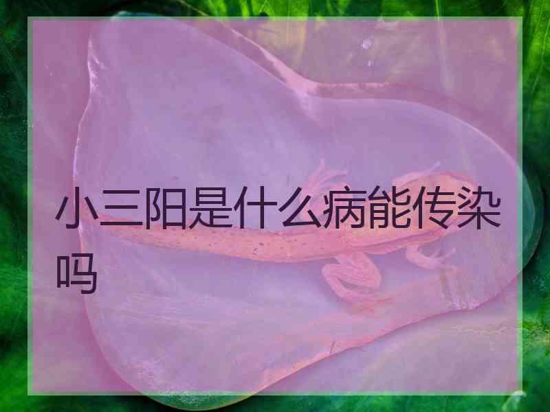 小三阳是什么病能传染吗