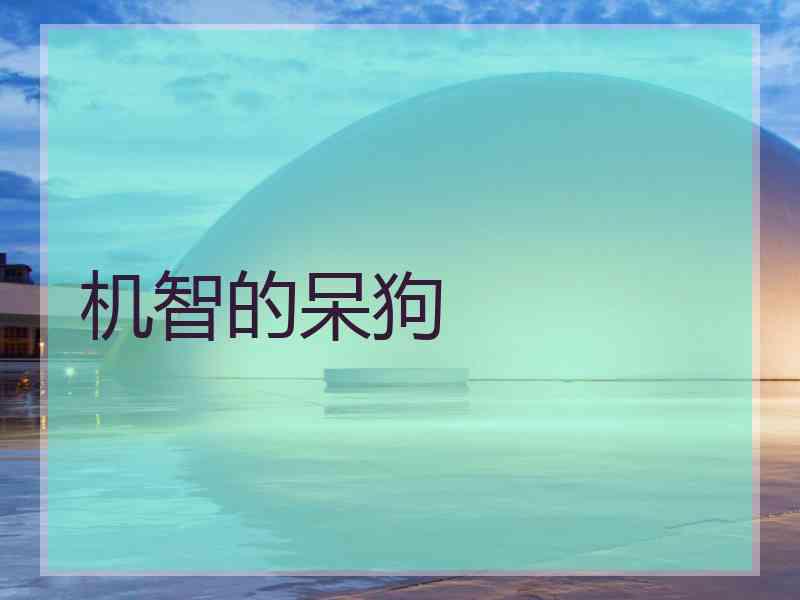 机智的呆狗