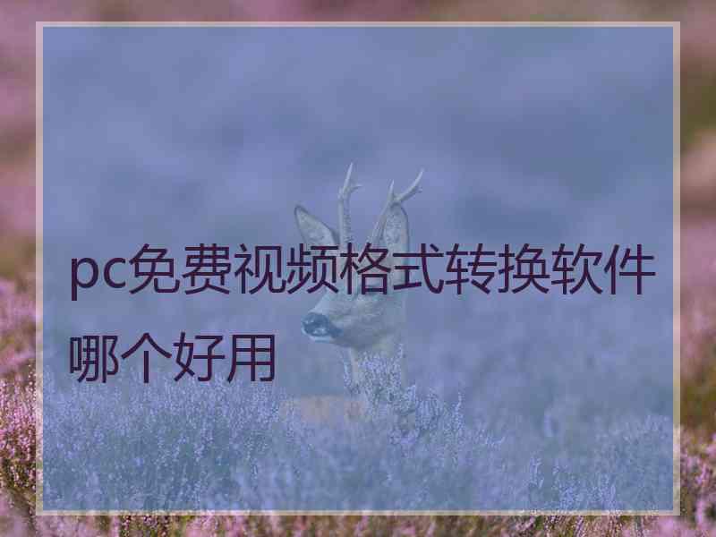 pc免费视频格式转换软件哪个好用