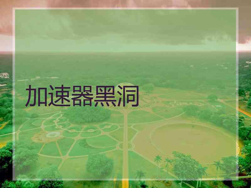 加速器黑洞