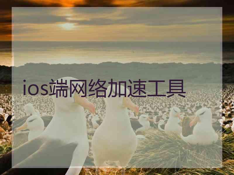 ios端网络加速工具