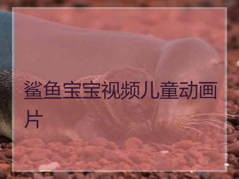 鲨鱼宝宝视频儿童动画片