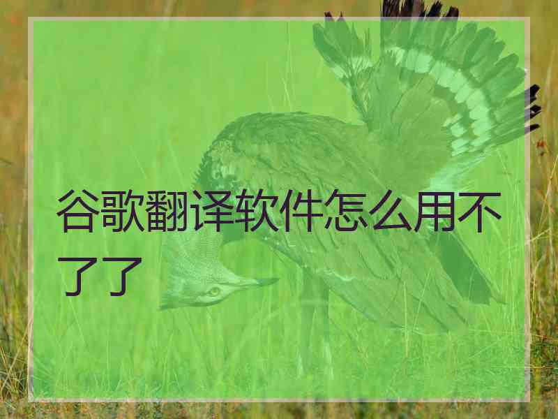 谷歌翻译软件怎么用不了了