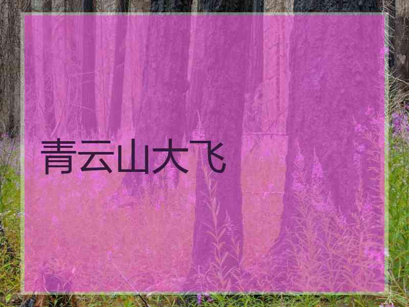 青云山大飞