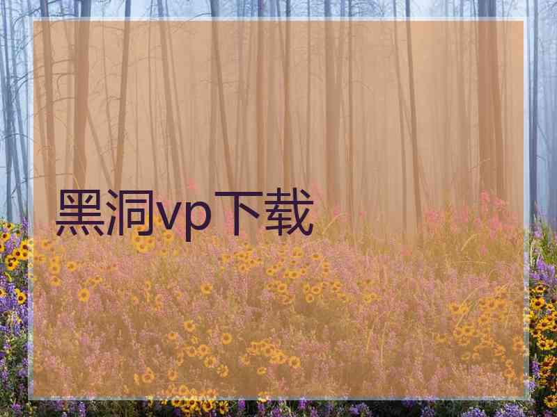 黑洞vp下载