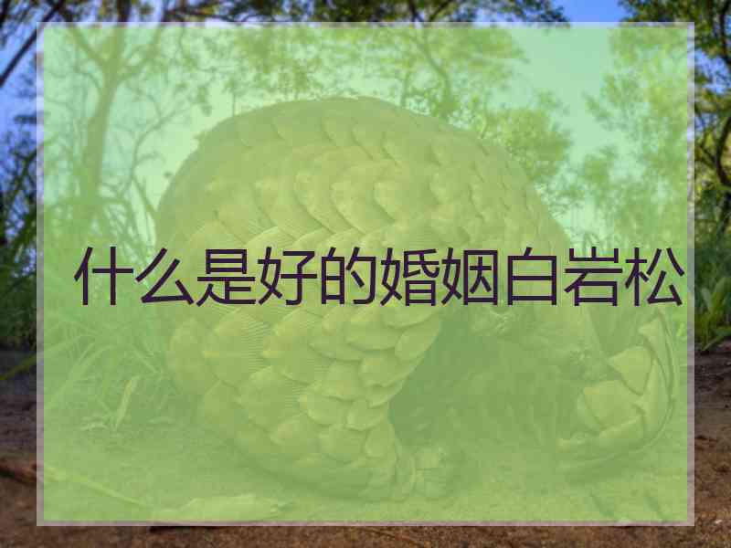 什么是好的婚姻白岩松
