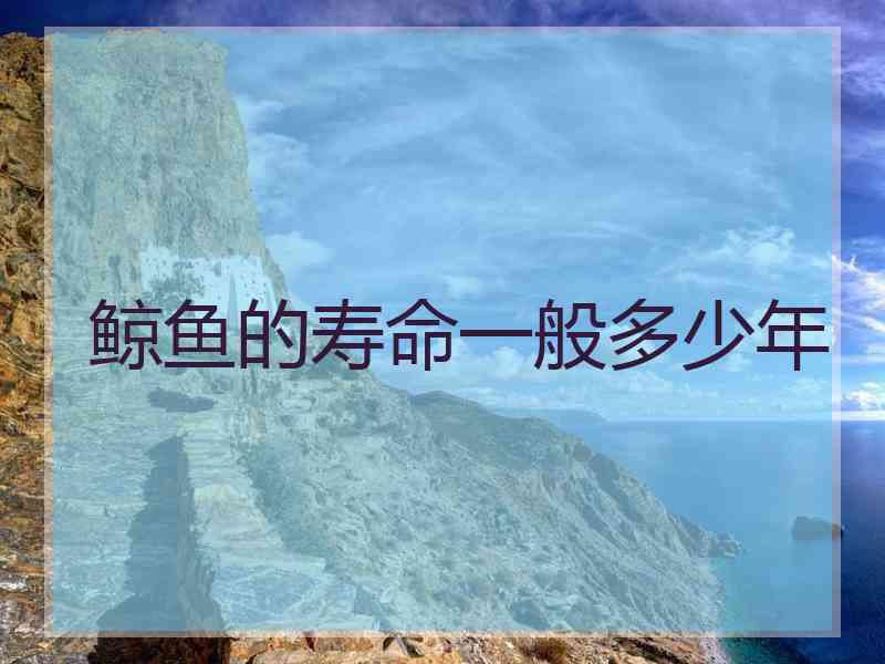 鲸鱼的寿命一般多少年