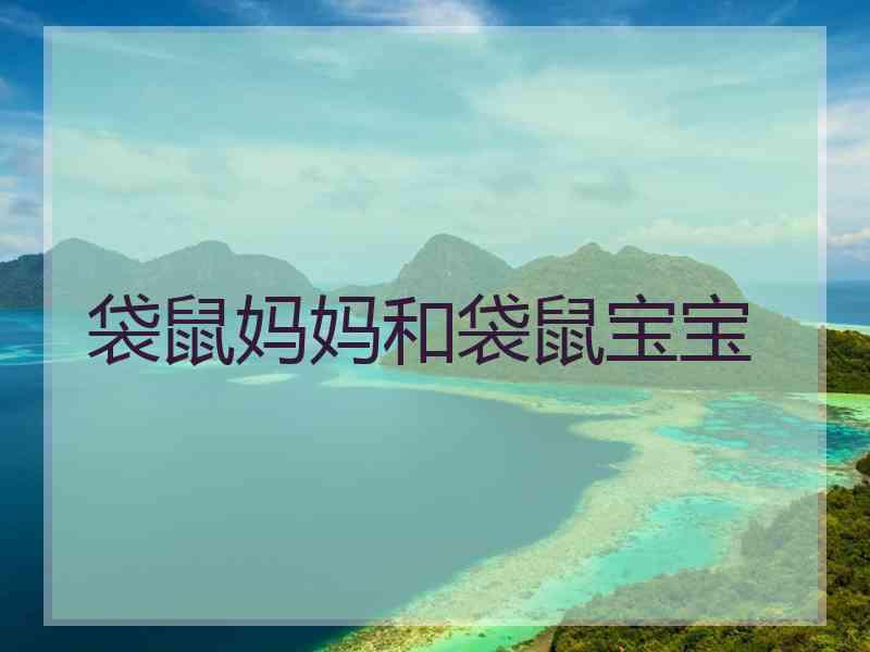 袋鼠妈妈和袋鼠宝宝
