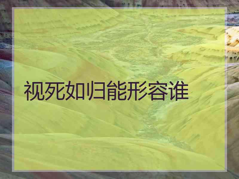 视死如归能形容谁