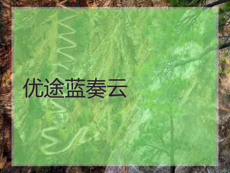 优途蓝奏云