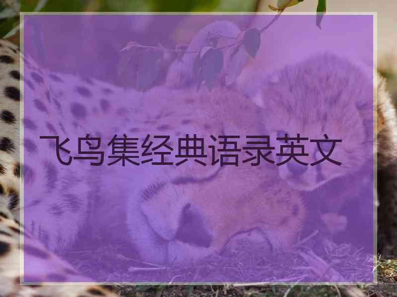 飞鸟集经典语录英文