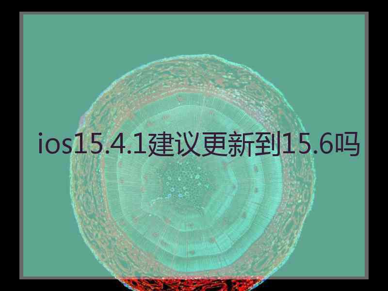 ios15.4.1建议更新到15.6吗