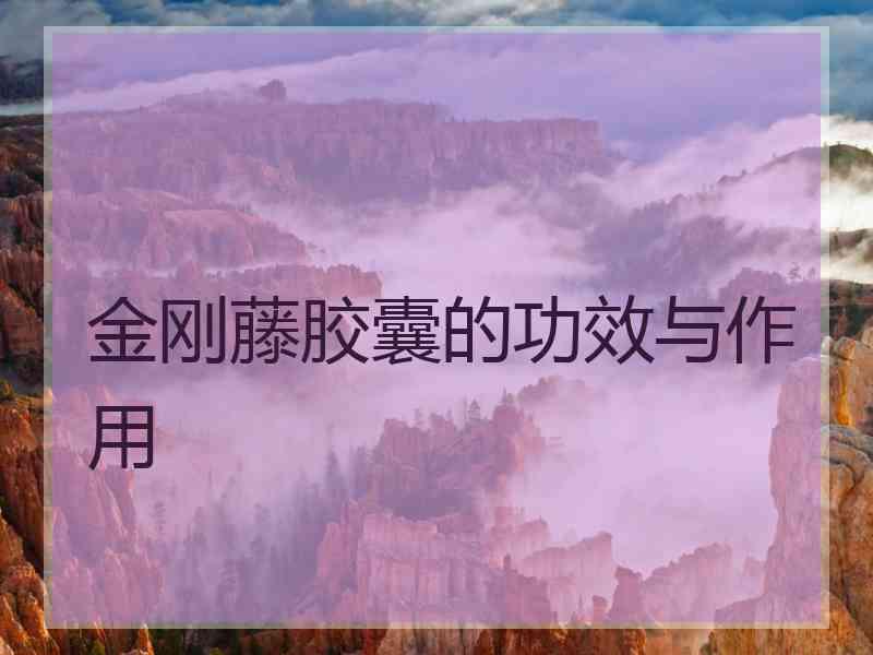 金刚藤胶囊的功效与作用
