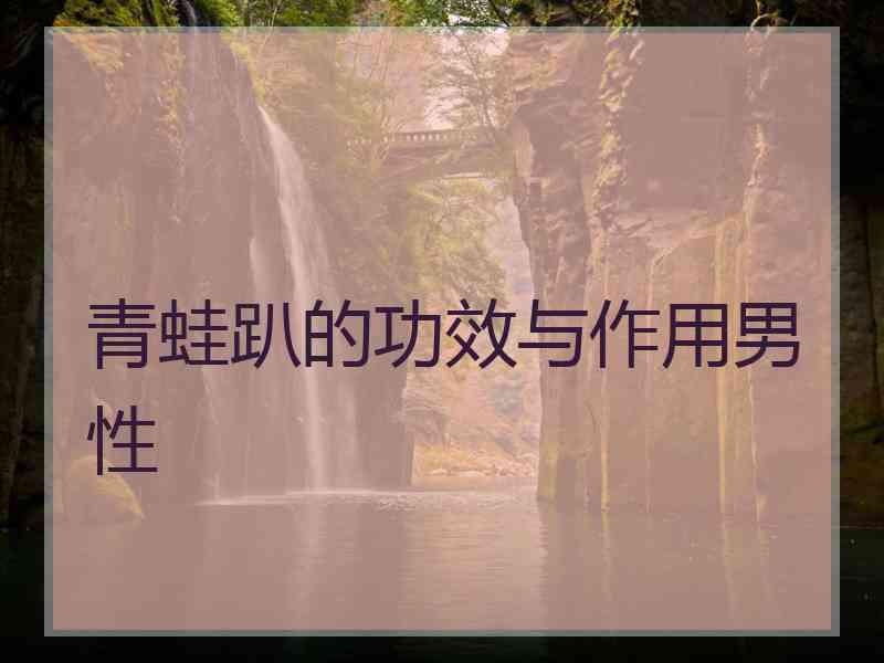 青蛙趴的功效与作用男性