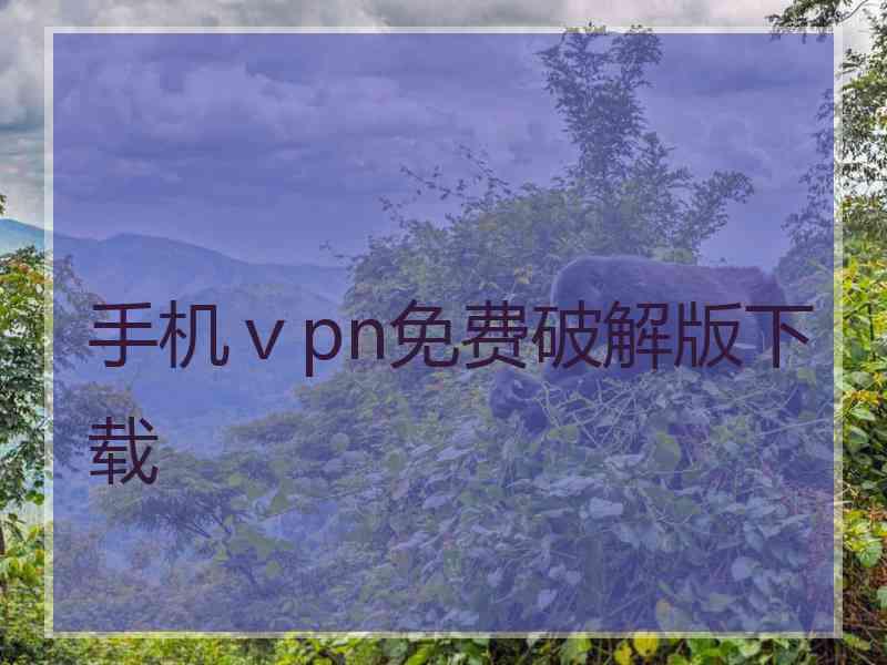 手机ⅴpn免费破解版下载
