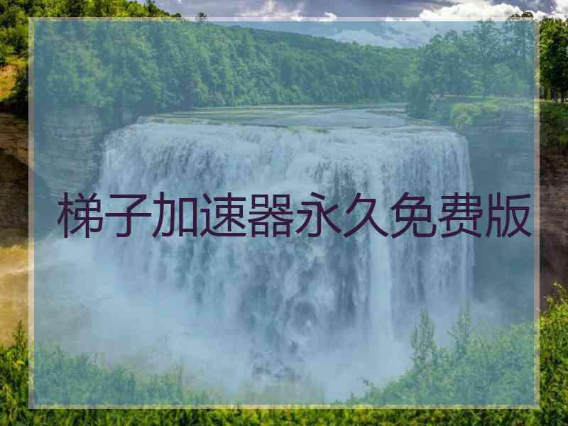 梯子加速器永久免费版