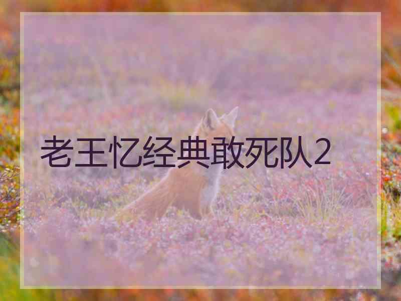 老王忆经典敢死队2