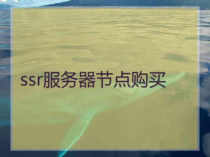ssr服务器节点购买