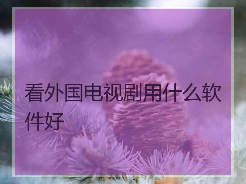 看外国电视剧用什么软件好