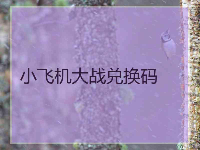 小飞机大战兑换码