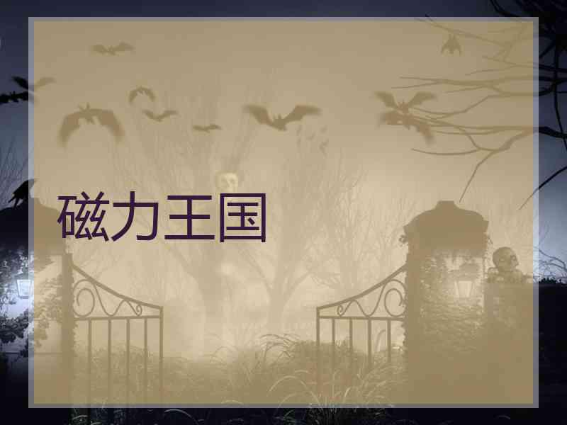 磁力王国