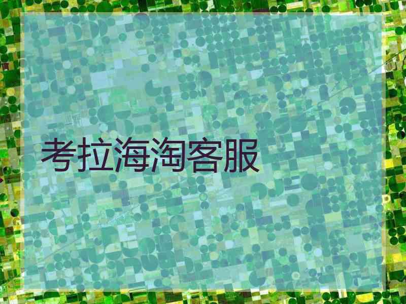 考拉海淘客服