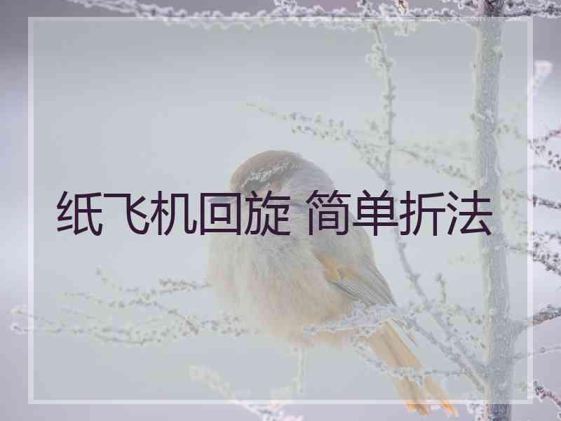 纸飞机回旋 简单折法