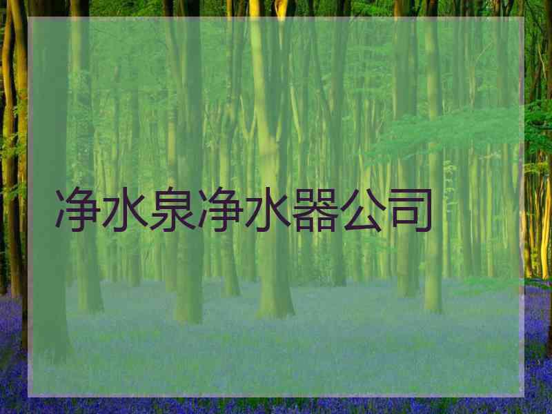 净水泉净水器公司