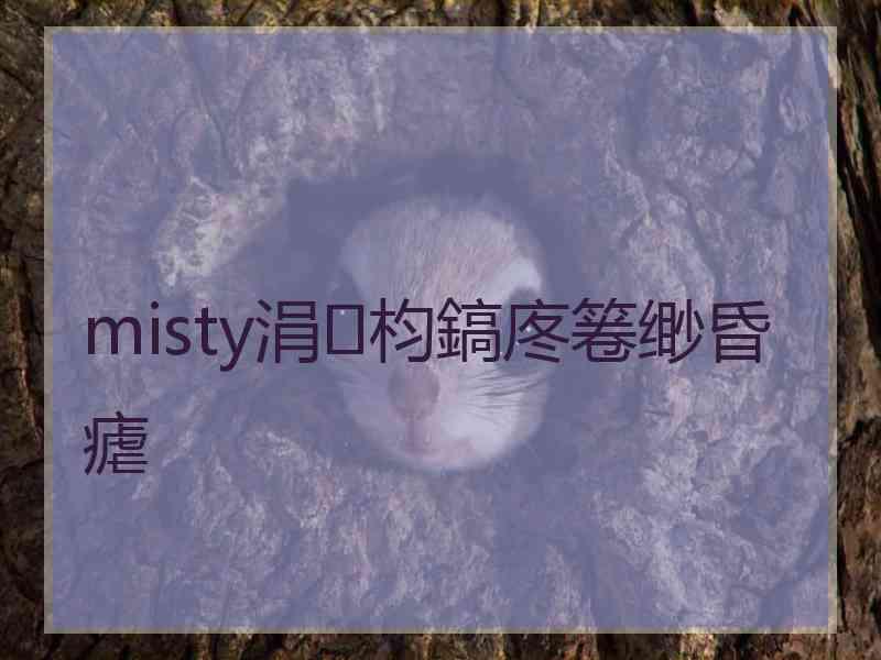 misty涓枃鎬庝箞缈昏瘧
