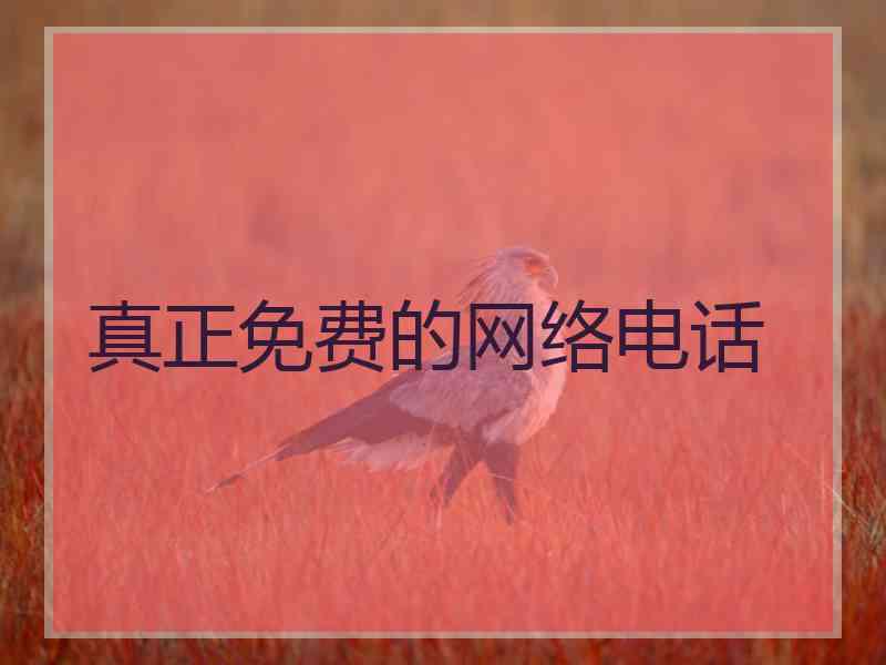 真正免费的网络电话