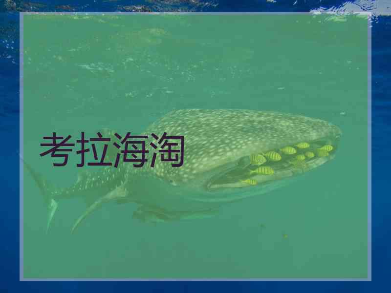 考拉海淘