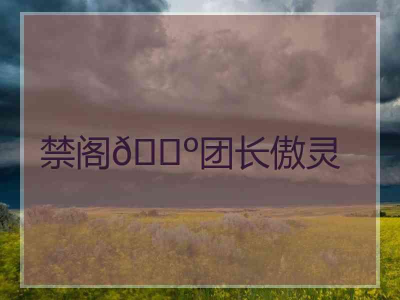 禁阁🐺团长傲灵