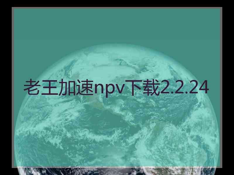 老王加速npv下载2.2.24