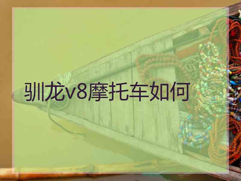 驯龙v8摩托车如何