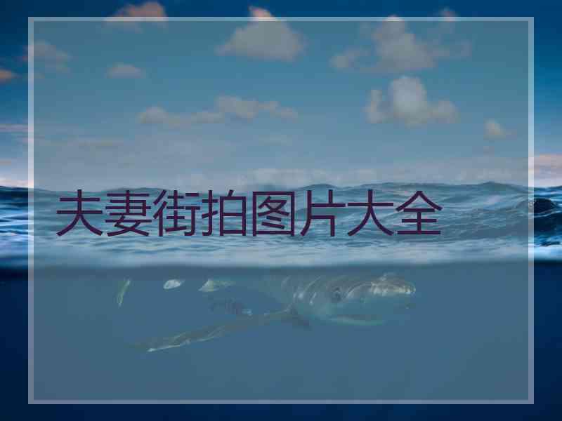 夫妻街拍图片大全