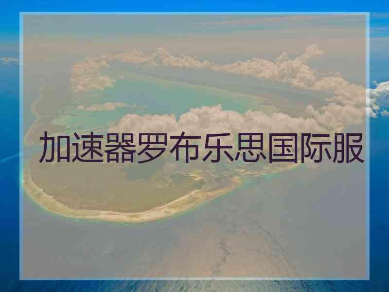 加速器罗布乐思国际服