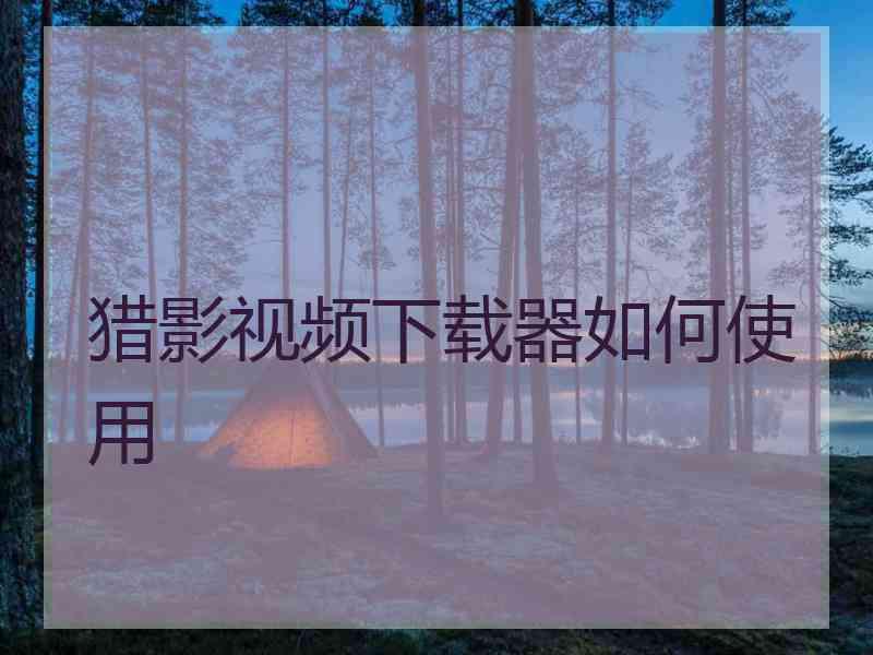 猎影视频下载器如何使用