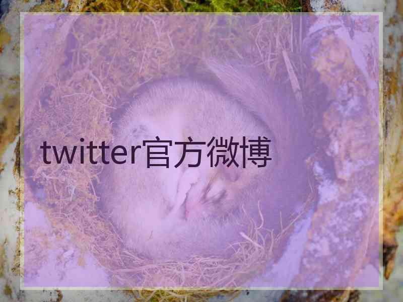 twitter官方微博
