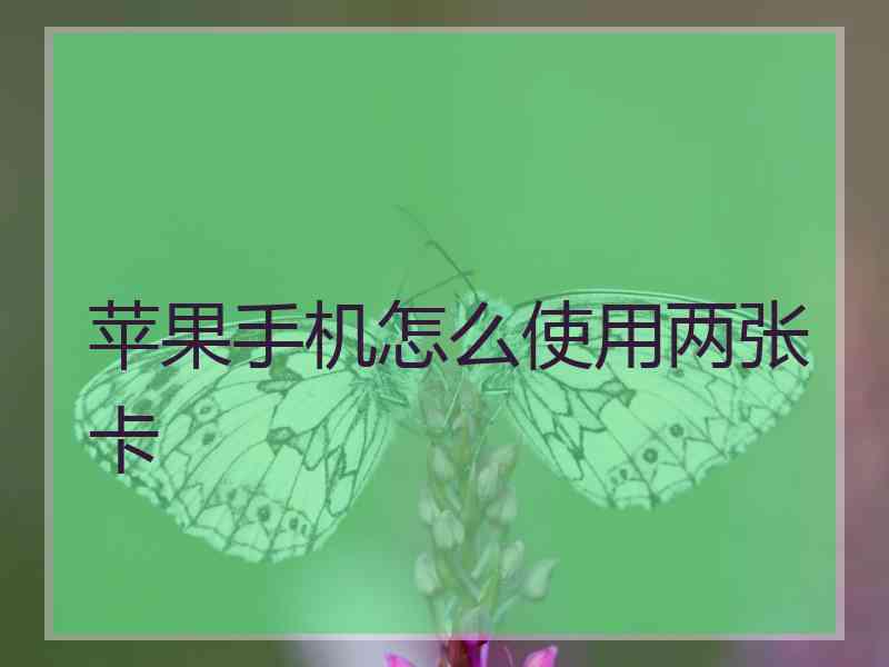 苹果手机怎么使用两张卡