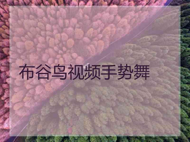 布谷鸟视频手势舞