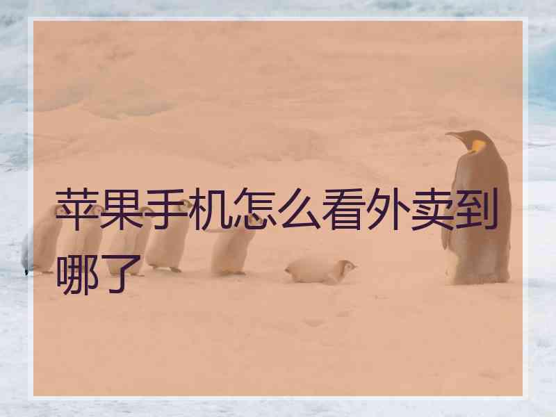 苹果手机怎么看外卖到哪了