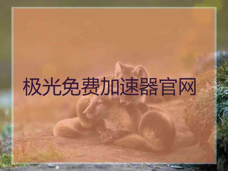 极光免费加速器官网