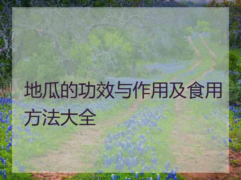 地瓜的功效与作用及食用方法大全