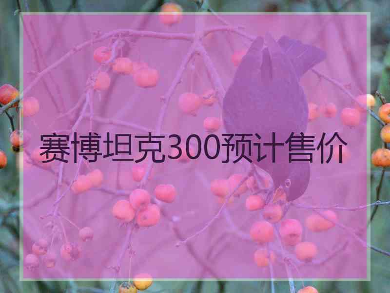 赛博坦克300预计售价