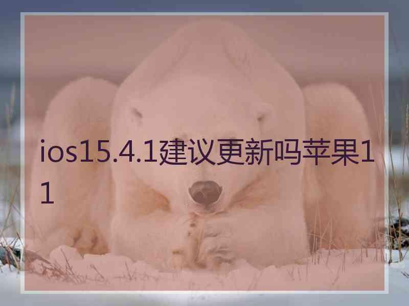 ios15.4.1建议更新吗苹果11