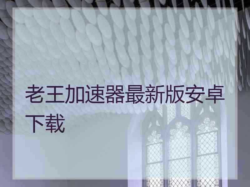老王加速器最新版安卓下载