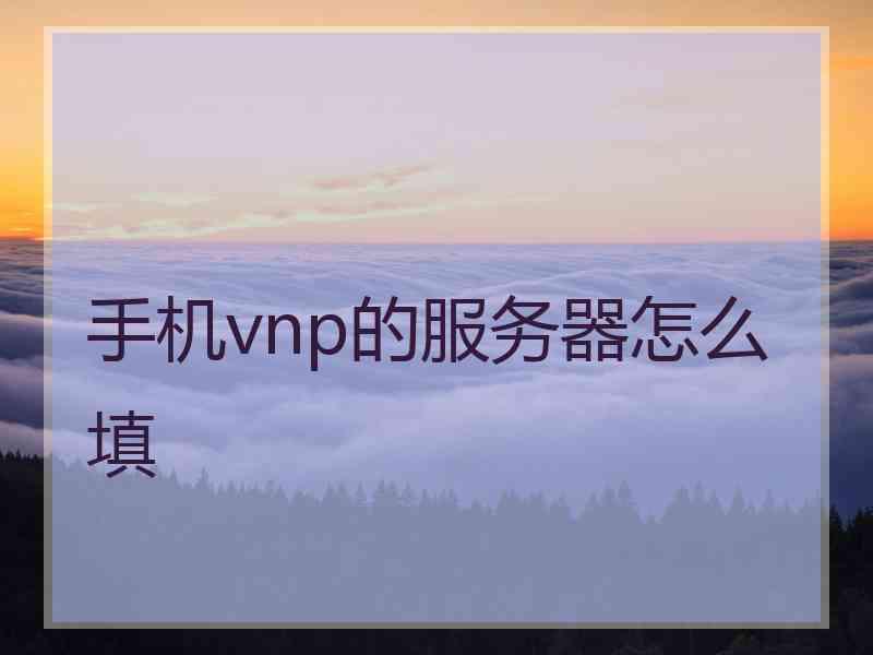 手机vnp的服务器怎么填