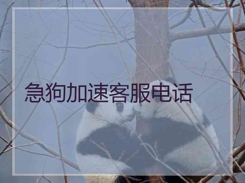 急狗加速客服电话