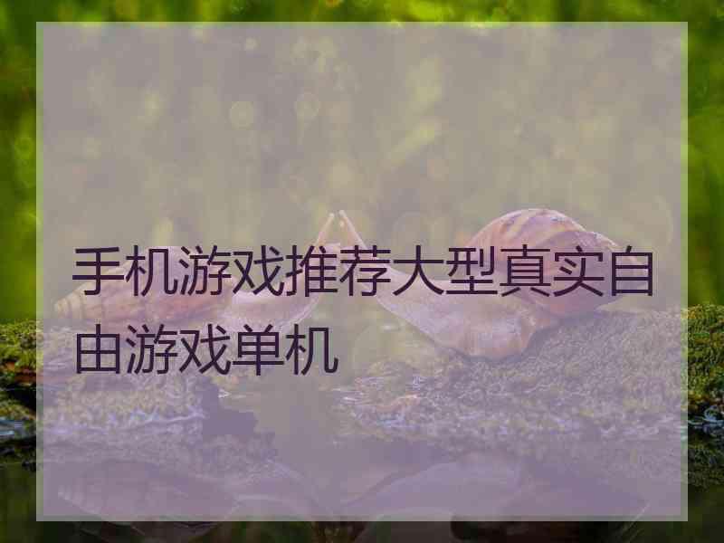 手机游戏推荐大型真实自由游戏单机